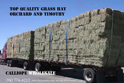Orchard Hay Truck