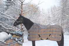Kensington Winter Horse Wear