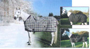 Kensington Winter Horse Wear